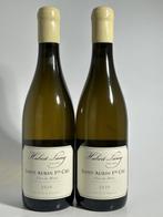 2020 Hubert Lamy Clos du Meix - Saint-Aubin 1er Cru - 2, Collections