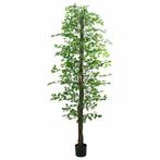 vidaXL Kunst Ficus Plant 2016 Bladeren 300 cm groen, Verzenden, Nieuw