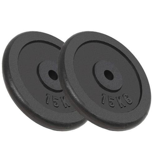 vidaXL Plaque de poids 2 pcs 2x15 kg Fonte, Sports & Fitness, Équipement de fitness, Neuf, Envoi