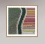 Bernhard Lang - AV_Tulip_Fields_027