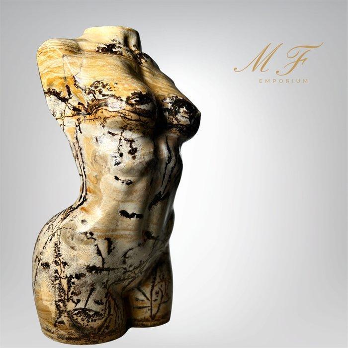 Prachtige buste en jasper grote afbeelding. Gravure -, Collections, Minéraux & Fossiles