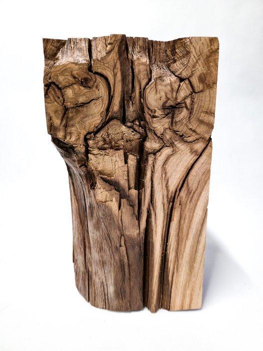 The Forest - Art & Woodworking Studio - Bijzettafel - Eik -, Antiek en Kunst, Curiosa en Brocante
