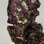 COVELLITE BLU en VIOLET met PYRITE, vorm van Sardinië, Collections