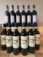 2021 x6 Lisini Rosso di Montalcino & 2021 San Fabiano, Nieuw