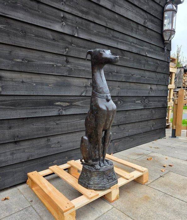 Beeld, XL Bronze Greyhound Dog - 89.5 cm - Brons - 2025, Antiek en Kunst, Curiosa en Brocante