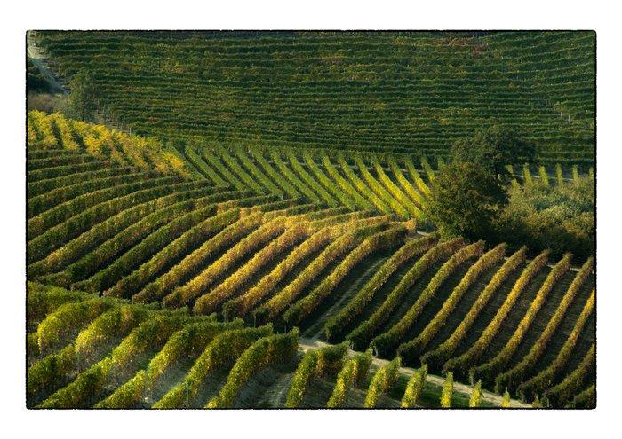 Franco Turcati - Langhe Autunno 2, Antiquités & Art, Art | Objets design