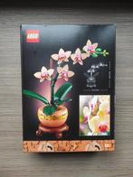 Lego Set - 10343 - Botanical Collection - Mini Orchid, Nieuw