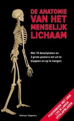 De anatomie van het menselijk lichaam 9789048312627, Gelezen, Roland Muhlbauer, Gerda Raichle, Verzenden