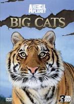 Animal Planet: Big Cats DVD (2010) Dave Salmoni cert E 3, Verzenden