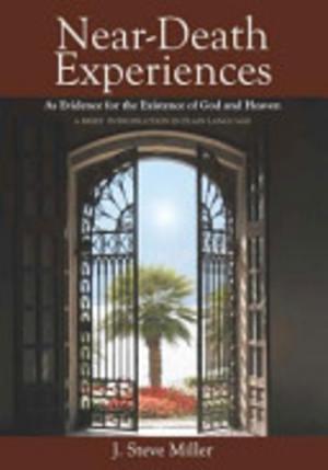 Near-Death Experiences as Evidence for the Existence of God, Livres, Langue | Langues Autre, Envoi