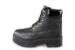 Timberland Veterboots in maat 41 Zwart | 5% extra korting, Kleding | Dames, Schoenen, Verzenden, Zwart, Overige typen, Timberland