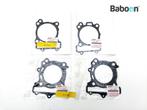 Pakking Suzuki DL 650 V-Strom 2004-2006 (DL650) Set. Front &, Motoren, Verzenden, Gebruikt