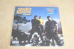 Naughty By Nature + Brand Nubian - Naughty By Nature 2LP, Cd's en Dvd's, Nieuw in verpakking