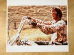 Colect. Chistophe L. - Harley. Peter Fonda, Easy Rider, 1969, Nieuw