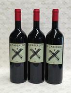 2001 Il Caberlot - Toscane DOCG - 3 Magnums (1.5L)
