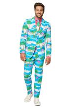 Hawaii Pak Heren Flamingo, Kleding | Heren, Carnavalskleding en Feestkleding, Verzenden, Nieuw