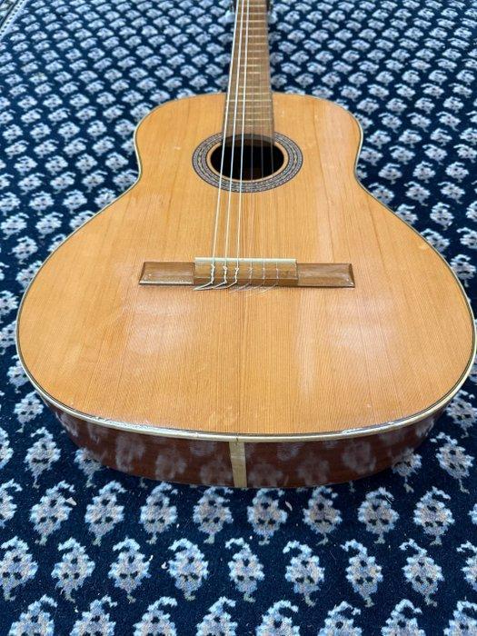 Dis-Com Guitars - Unknown - - Klassieke gitaar - Spanje -, Muziek en Instrumenten, Snaarinstrumenten | Gitaren | Akoestisch