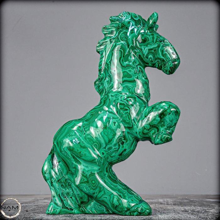 Natuurlijk malachiet paard van de hoogste kwaliteit uit, Collections, Minéraux & Fossiles