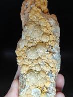 Stilbite Miage M.Bianco Bothryodaal Kristal - Hoogte: 15 cm, Verzamelen, Mineralen en Fossielen