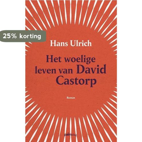 Het woelige leven van David Castorp 9789493059382, Livres, Romans, Envoi