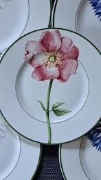 Villeroy & Boch - Assiette (5) - Flora - Vitro-Porzellan -