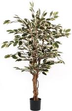 Tweedekans | Mica Decorations Ficus Kunstplant - H110 x Ø70, Ophalen of Verzenden