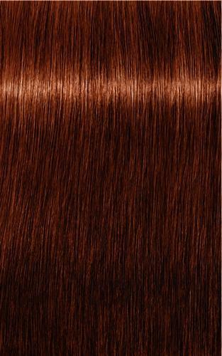 Schwarzkopf Professional Igora Royal Absolutes 60ml, Handtassen en Accessoires, Uiterlijk | Haarverzorging, Nieuw, Verzenden