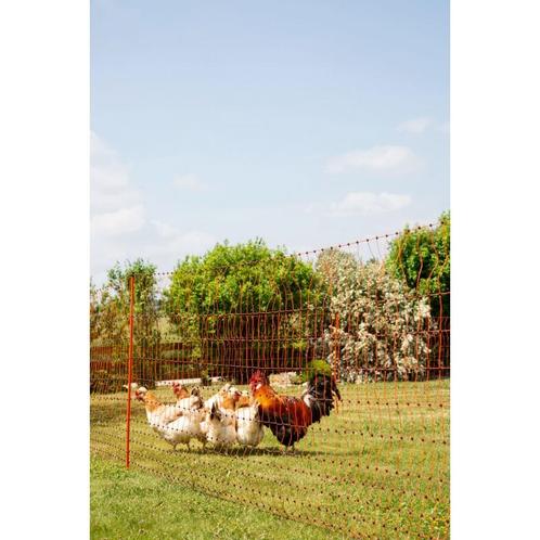 Poultrynet, 106 cm, 50m, double pointe, orange,, Dieren en Toebehoren, Pluimvee | Toebehoren