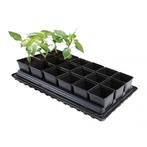 NIEUW - Kweektray met bewatering, Verzenden, Nieuw