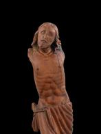 Sculpture, Corpus Christi, 16e-17e eeuw - 35 cm - Buis, Antiek en Kunst