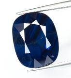 Zonder minimumprijs Saffier - 13.58 ct - Lotus Gemology -