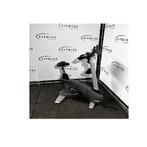 Matrix - U3x - Upright Bike, Sport en Fitness, Ophalen of Verzenden, Nieuw, Overige typen