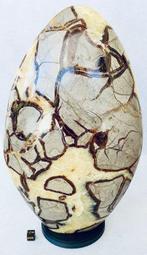 Septaria Gepolijste - Hoogte: 30 cm - Breedte: 18 cm- 6500 g, Verzamelen, Mineralen en Fossielen