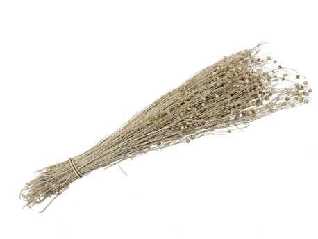 Lino grass vlas linum bundel yellow geel 100 gr, Hobby en Vrije tijd, Knutselen, Nieuw
