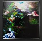 Viet Ha Tran - Reflection
