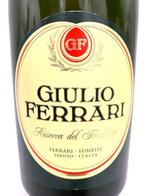 1992 Giulio Ferrari, Riserva del Fondatore -, Nieuw