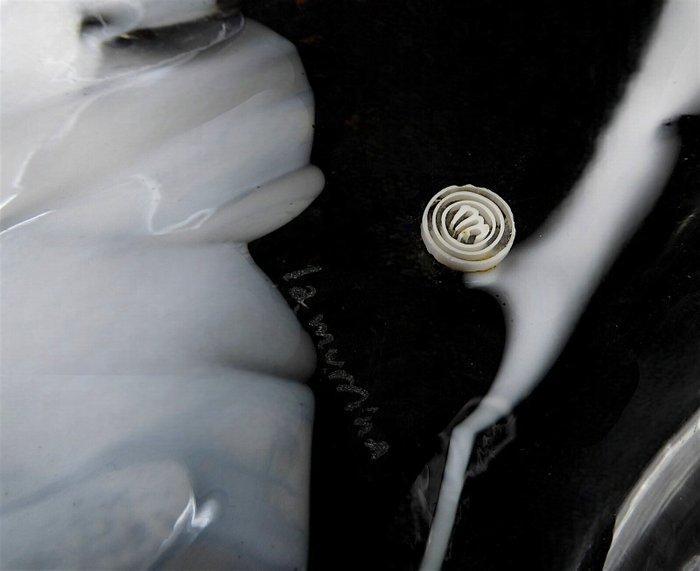 La Murrina - Plafondlamp - Plafonnier Luci & Forme van, Antiek en Kunst, Antiek | Verlichting