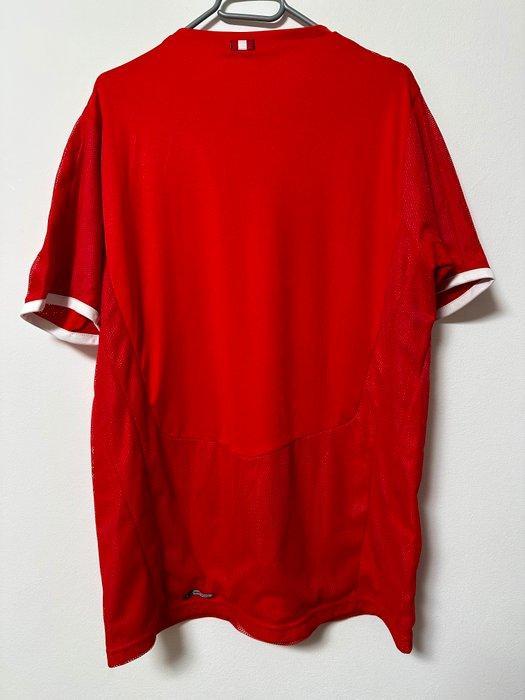 Austria national football team - 2008 - Voetbalshirt, Verzamelen, Overige Verzamelen