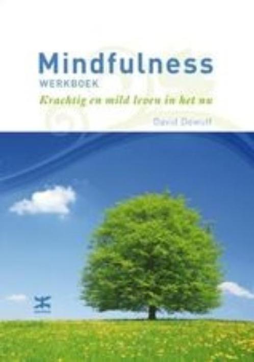 Mindfulness werkboek 9789021546612, Boeken, Psychologie, Gelezen, Verzenden