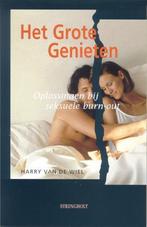Het grote genieten 9789058601254 H. van de Wiel, Boeken, Verzenden, Gelezen, H. van de Wiel