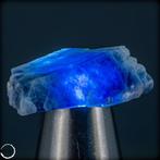 Natuurlijk ruwe saffier met intense blauwtinten - 25,80 ct,, Verzamelen