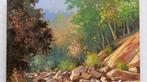 Andrea Borella (1946) - Underbrush with stream, Antiek en Kunst, Kunst | Schilderijen | Klassiek