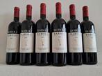 2012 Boroli - Barolo DOCG - 6 Flessen (0.75 liter), Verzamelen, Wijnen, Nieuw