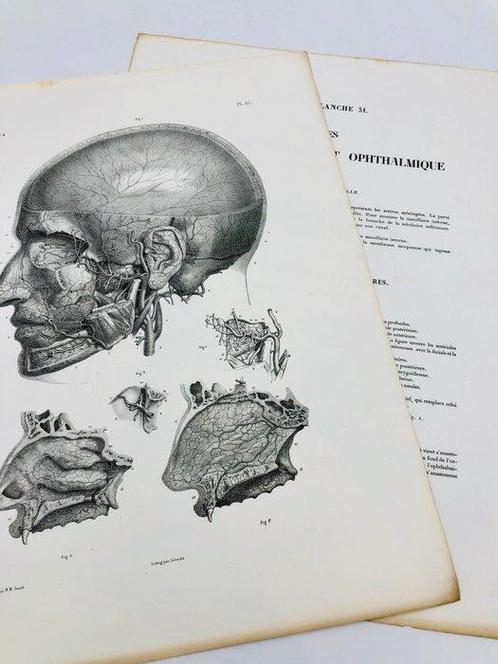 Lesmateriaal - Nicolas-Henri Jacob & Jean Baptiste Marc, Antiek en Kunst, Antiek | Wandborden en Tegels