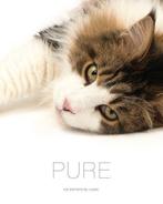 Pure 9789082302400 Lucas De Boeck, Verzenden, Zo goed als nieuw, Lucas De Boeck