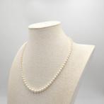 Zonder minimumprijs - Halsketting Zilver Parel - Akoya 3 mm