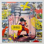 AIIROH (1987) - Preserve Son Goku
