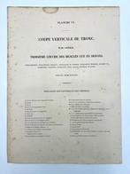 Matériel pédagogique - Nicolas-Henri Jacob & Jean Baptiste