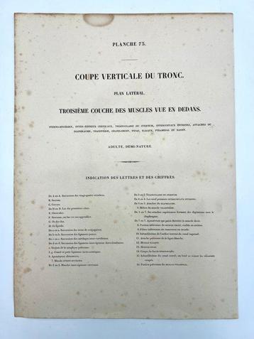 Matériel pédagogique - Nicolas-Henri Jacob & Jean Baptiste