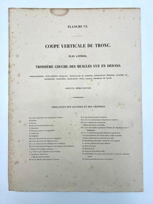 Matériel pédagogique - Nicolas-Henri Jacob & Jean Baptiste, Antiek en Kunst, Antiek | Wandborden en Tegels